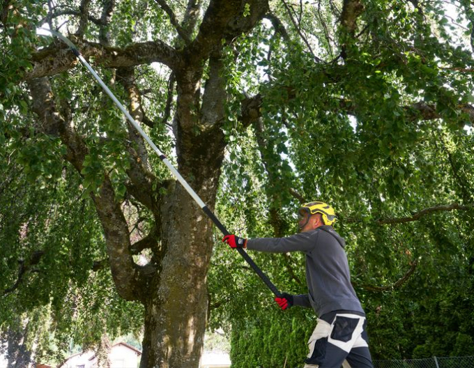 FELCO 684 Teleskopická pílka