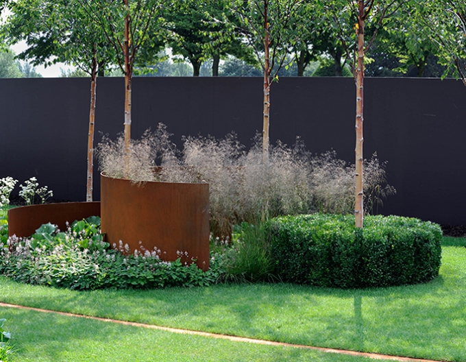 Metlica ’Goldschleier’ 2l