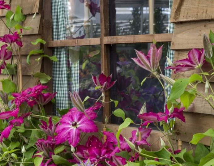 Plamienok ´Viva Polonia´