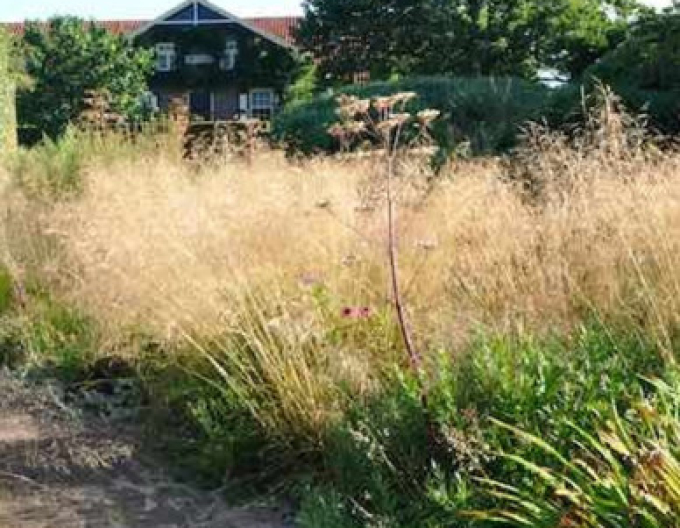 Metlica ’Goldtau’ 9x9