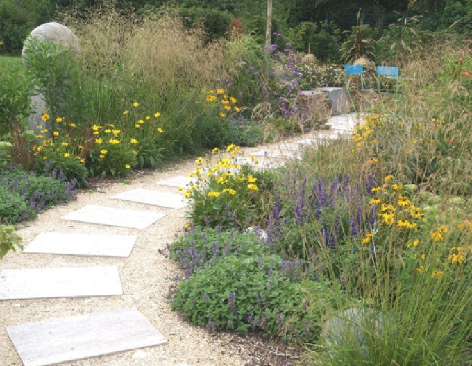 Metlica ’Goldschleier’ 9x9