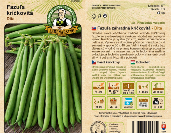 Semenárstvo Fazuľa záhradná kríčkovitá ´Dita´