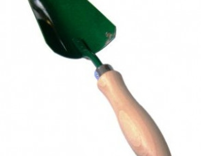 Lopatka na sadenie široká/009